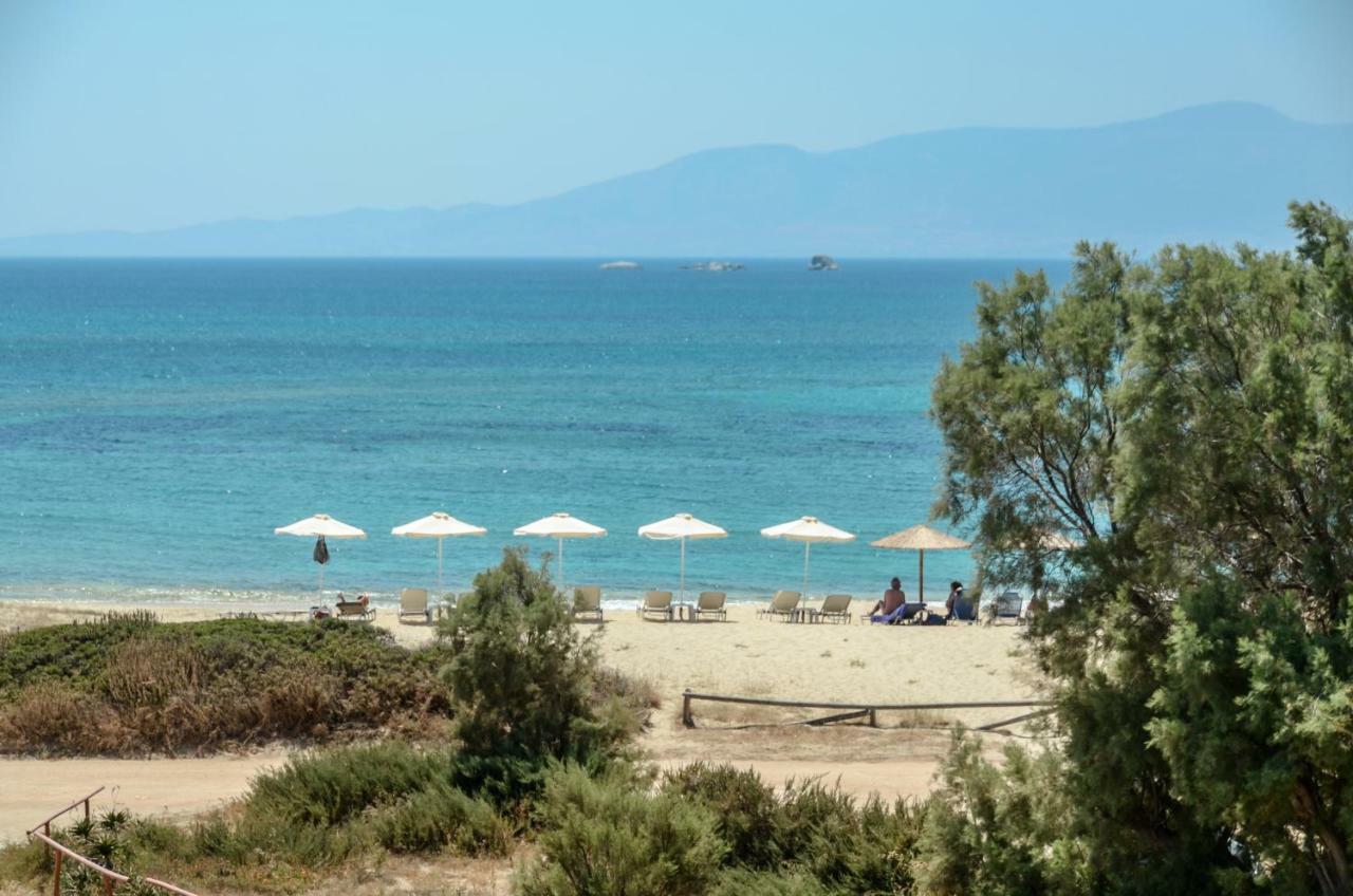 Acti Πλάκα